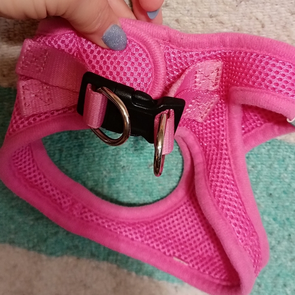 Dog harnessed - Picture 2 of 4